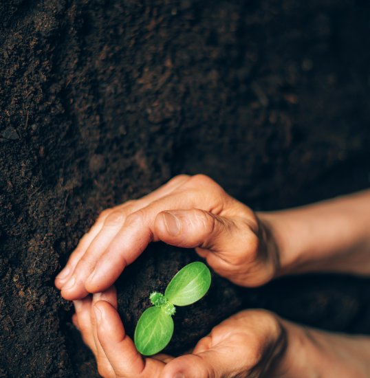 ISO 14000 family Environmental management
